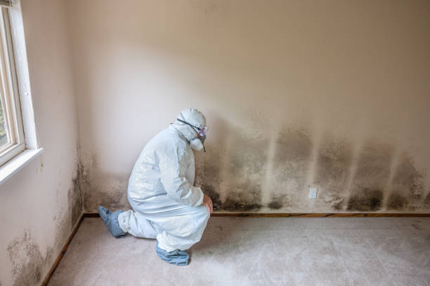 Forensic Mold Investigation in Amarillo, TX